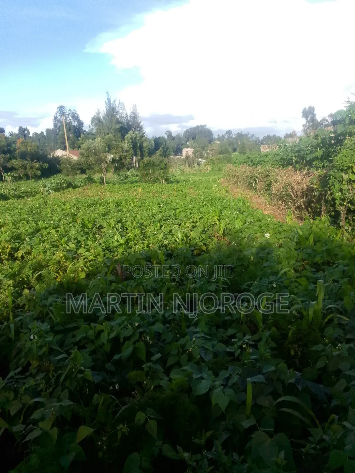 3⁄4 Acre Plot Ngarariga in Bibirioni