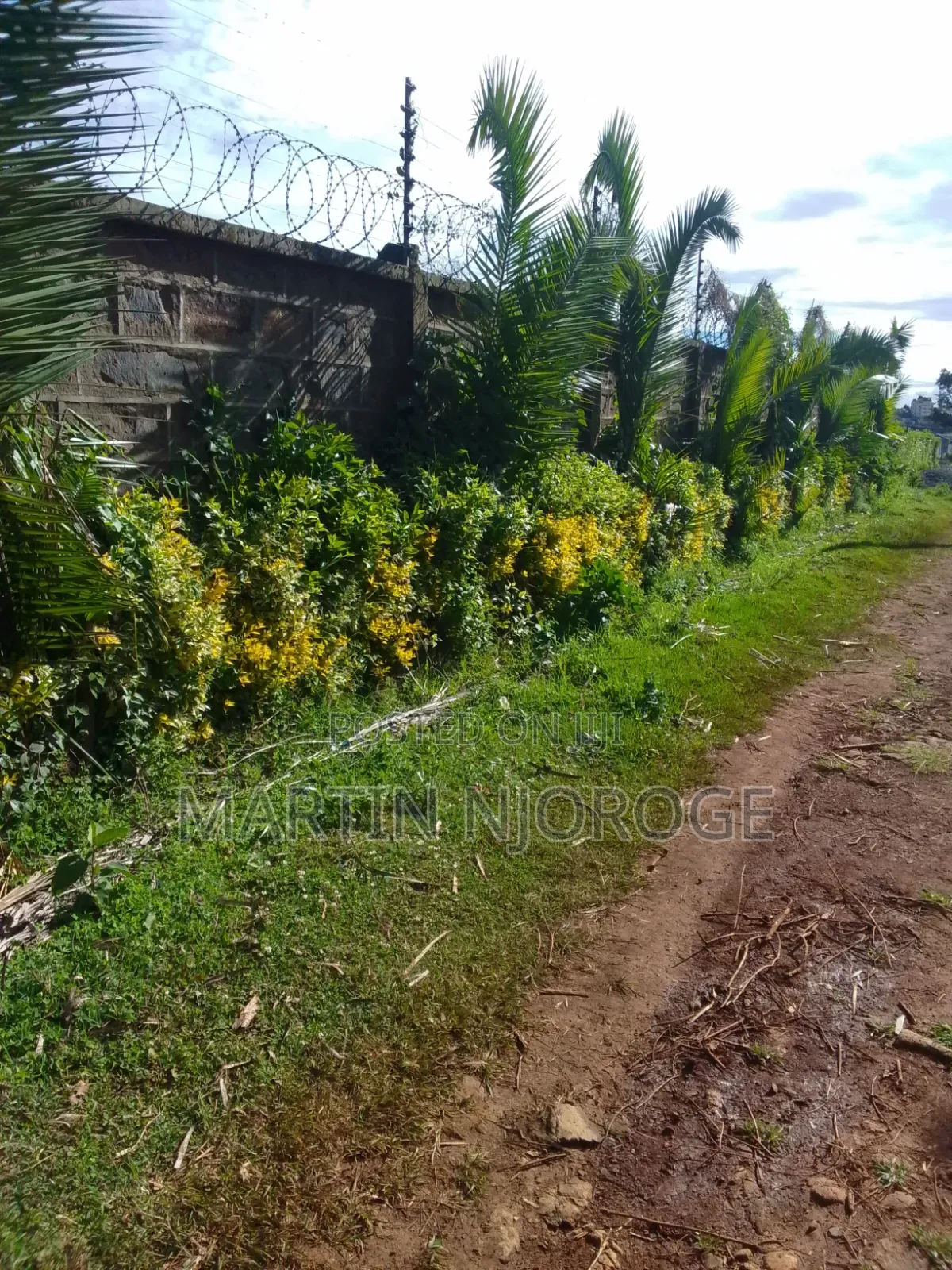 Mixed Farm, Ngarariga in Bibirioni