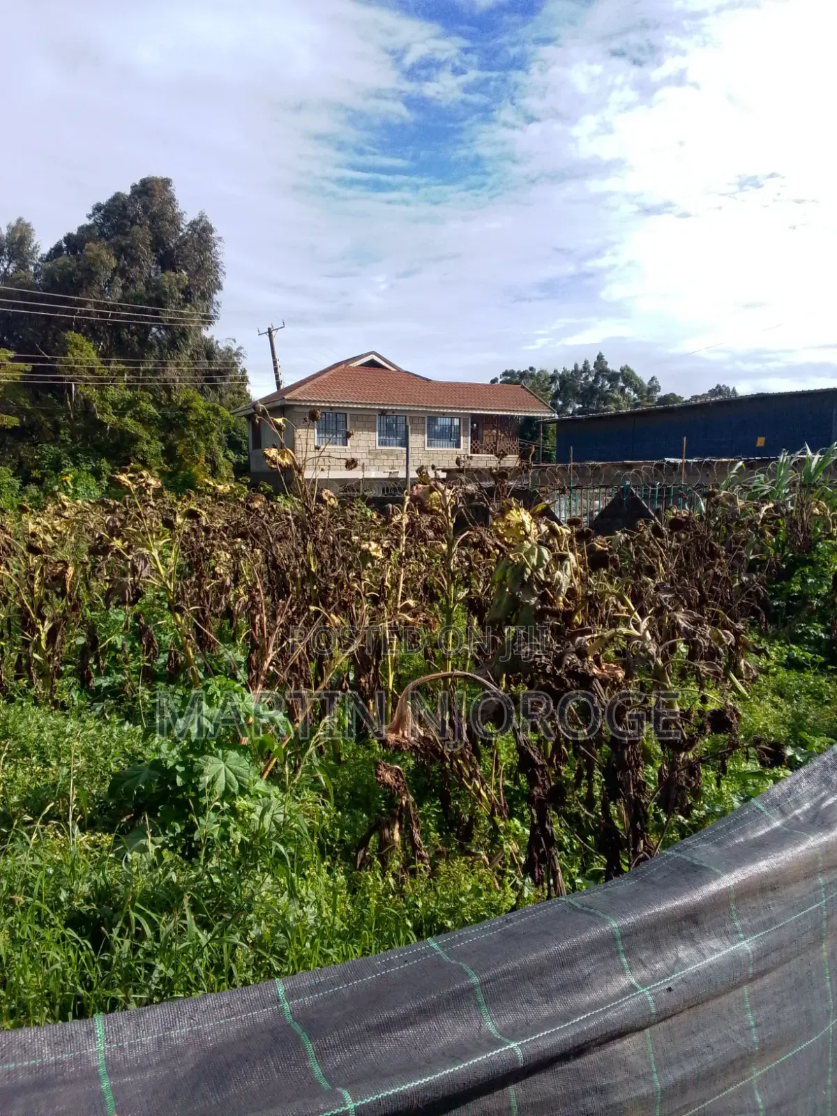 Mixed Farm, Ngarariga in Bibirioni