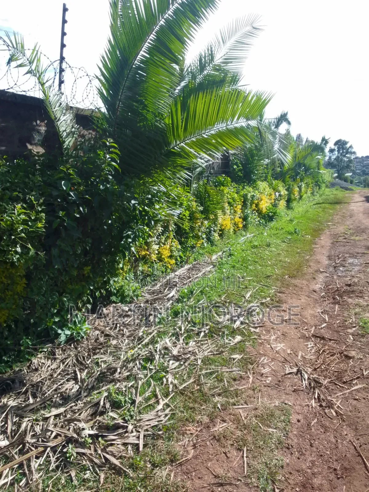 Mixed Farm, Ngarariga in Bibirioni