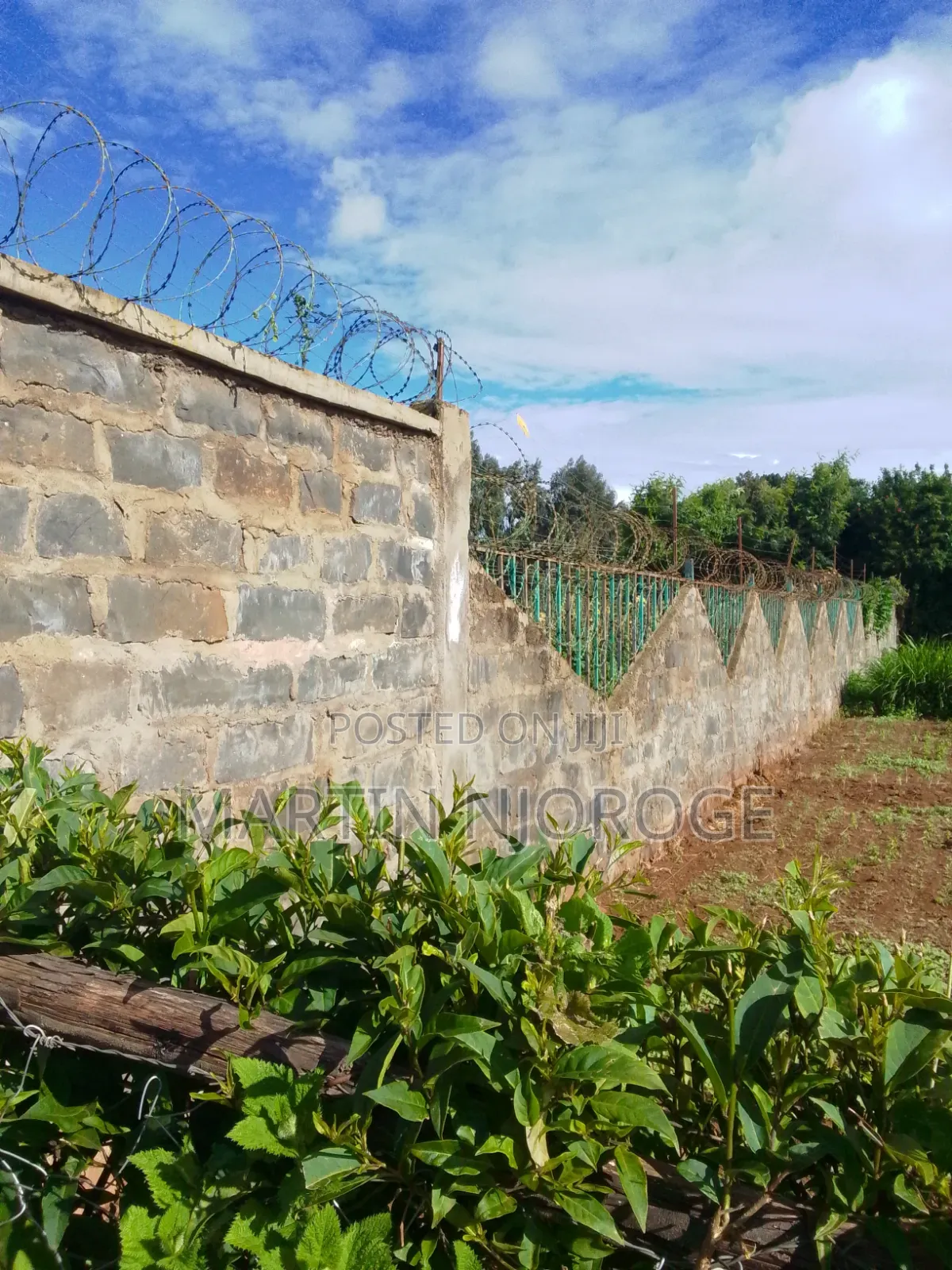 Mixed Farm, Ngarariga in Bibirioni