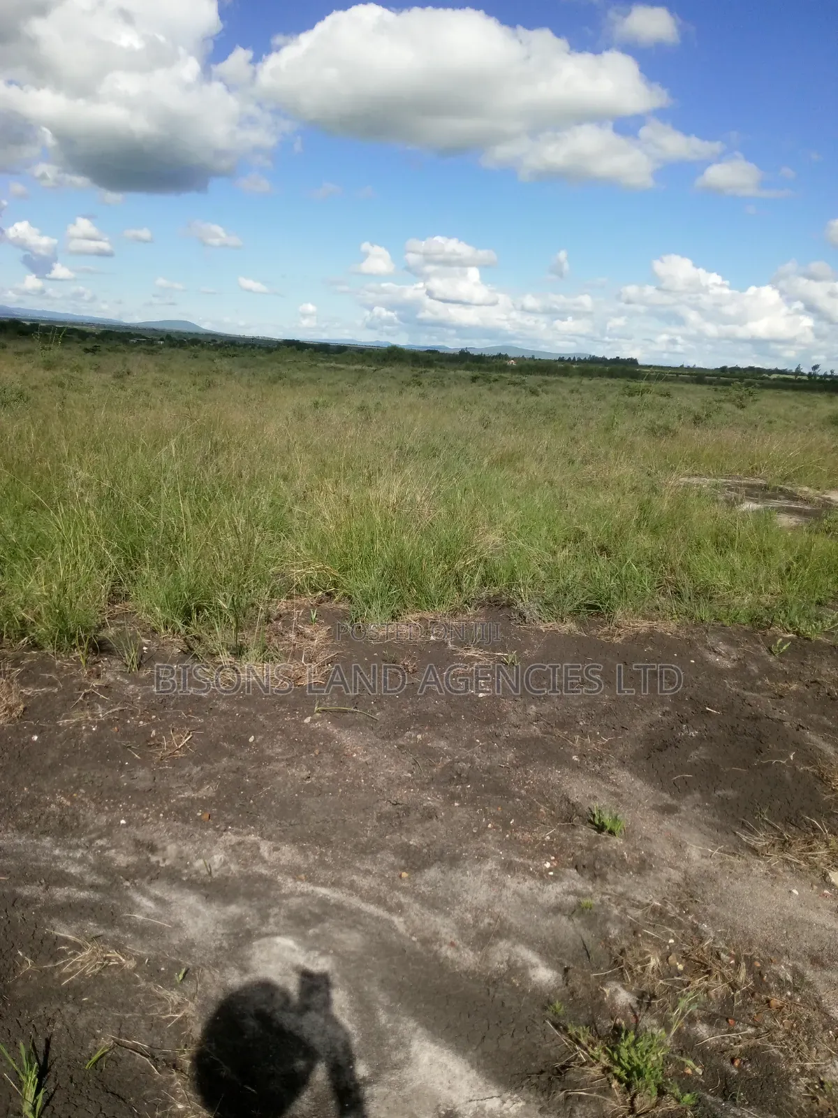 Available 10 Acres Land for Sale in Bisil