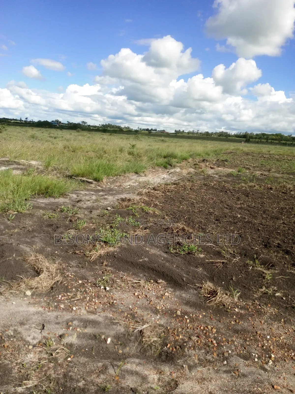 Available 10 Acres Land for Sale in Bisil