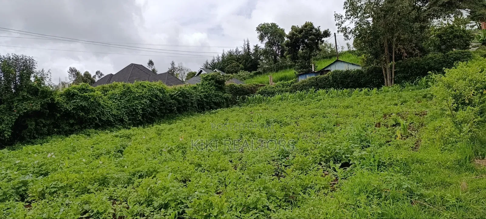 Kikuyu Sigona Plots for Sale in Kikuyu