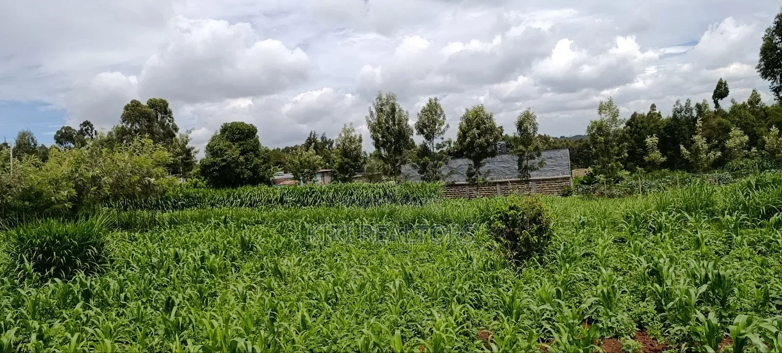 Kikuyu Prime Plots in Kikuyu Kerwa in Kikuyu