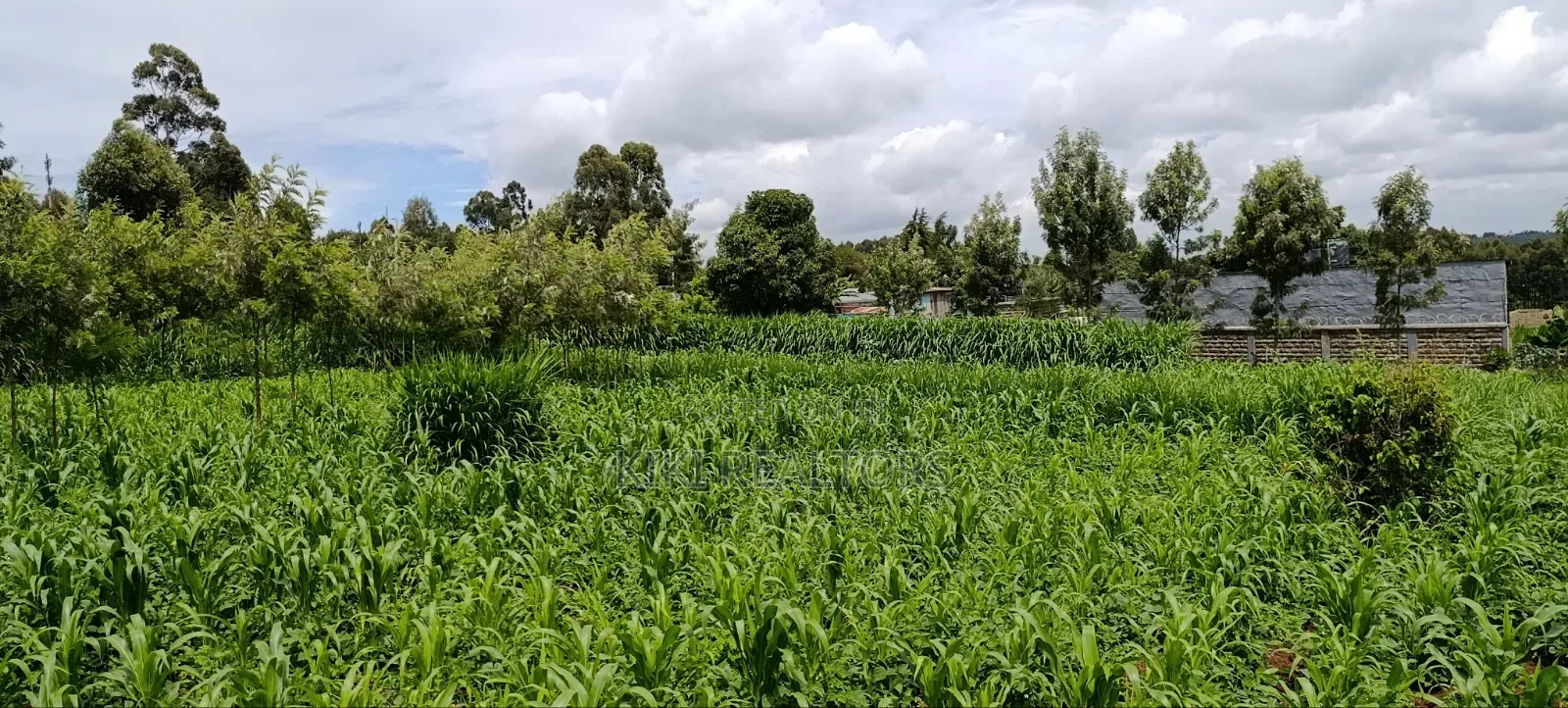 Kikuyu Prime Plots in Kikuyu Kerwa in Kikuyu