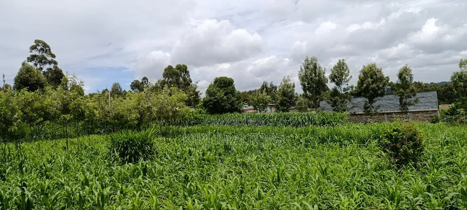 Kikuyu Prime Plots in Kikuyu Kerwa in Kikuyu