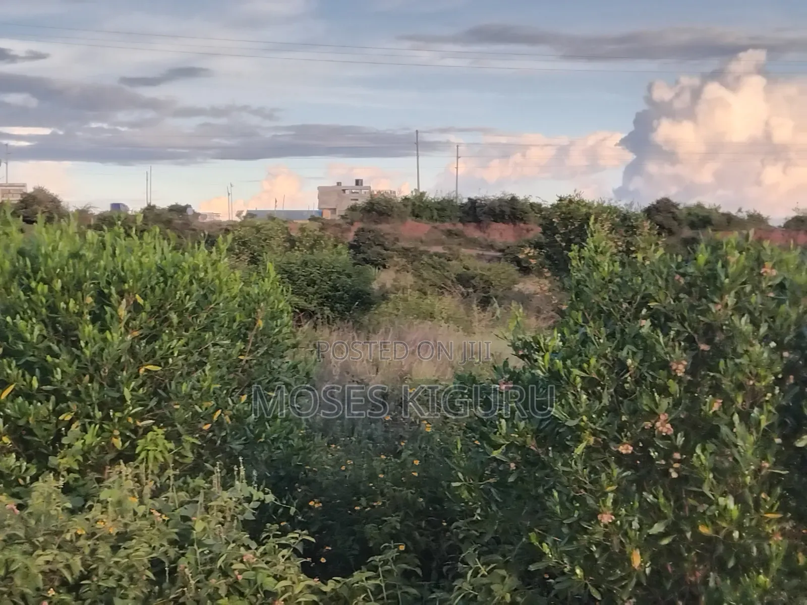 50x100 Commercial Plots for Sale in Kalimoni