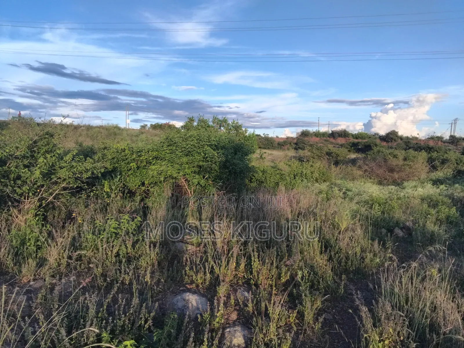 50x100 Commercial Plots for Sale in Kalimoni