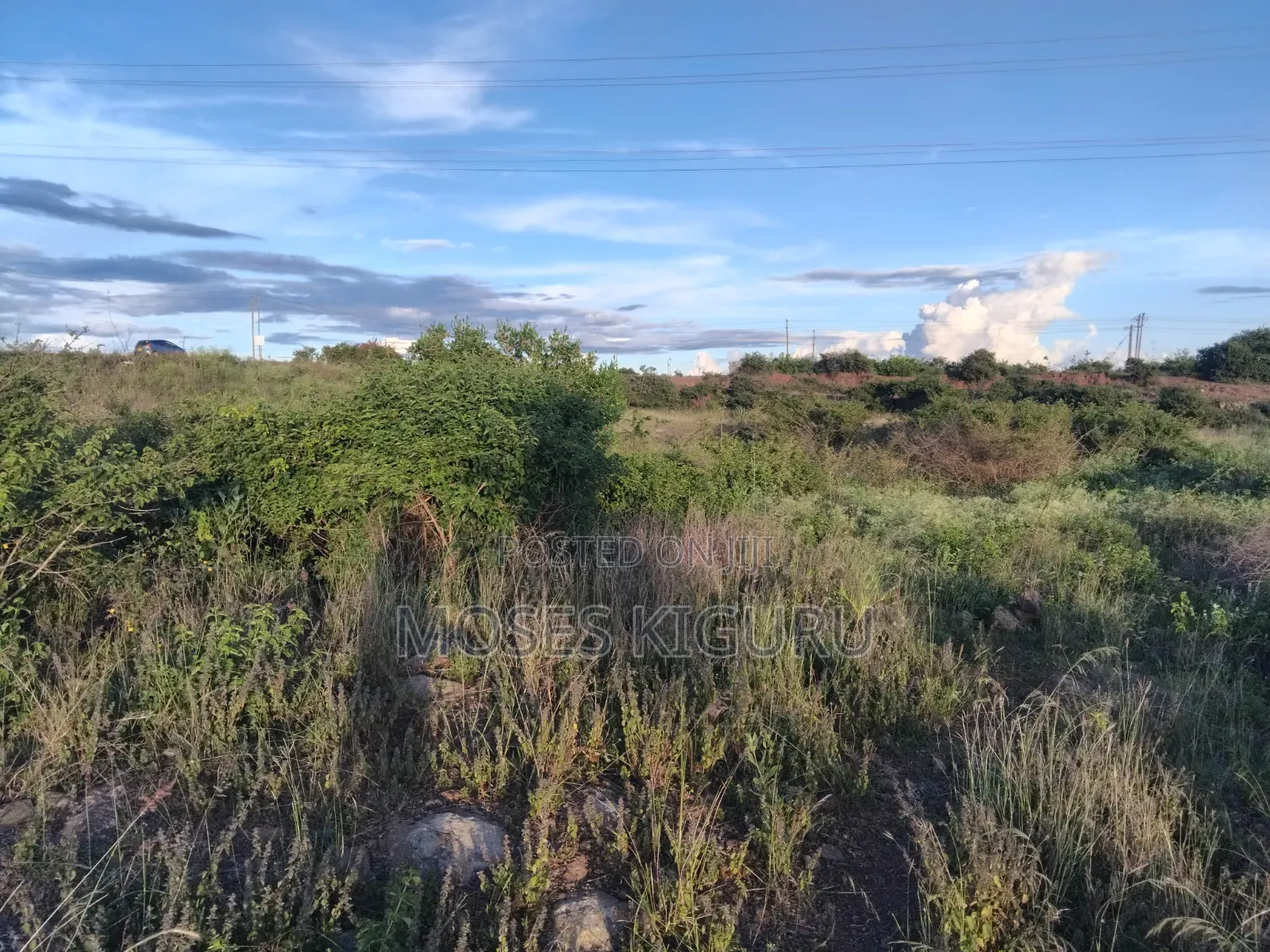 50x100 Commercial Plots for Sale in Kalimoni