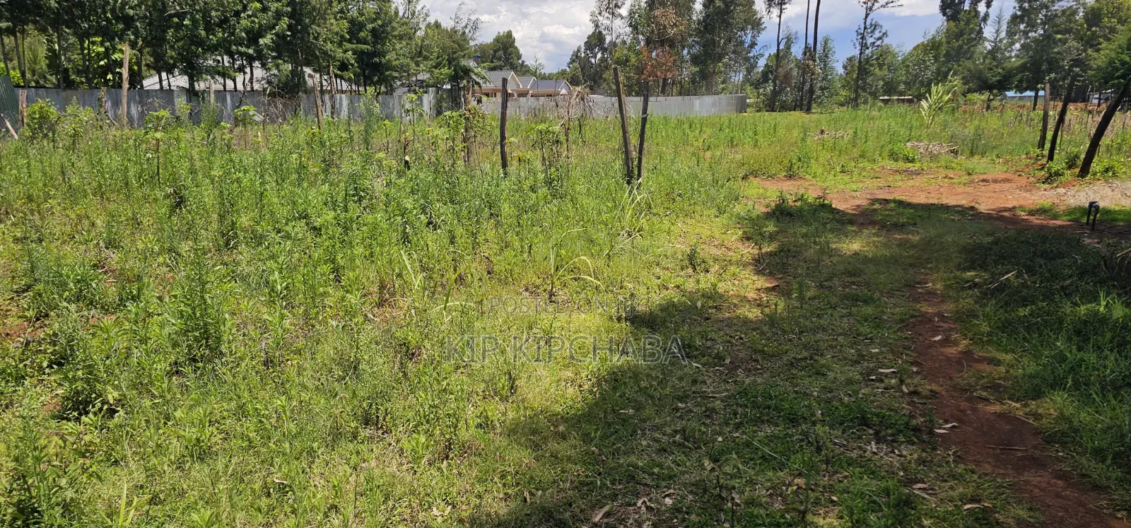 Prime Plots for Sale in Outspan Eldoret Behind Kwa Dc in Racecourse