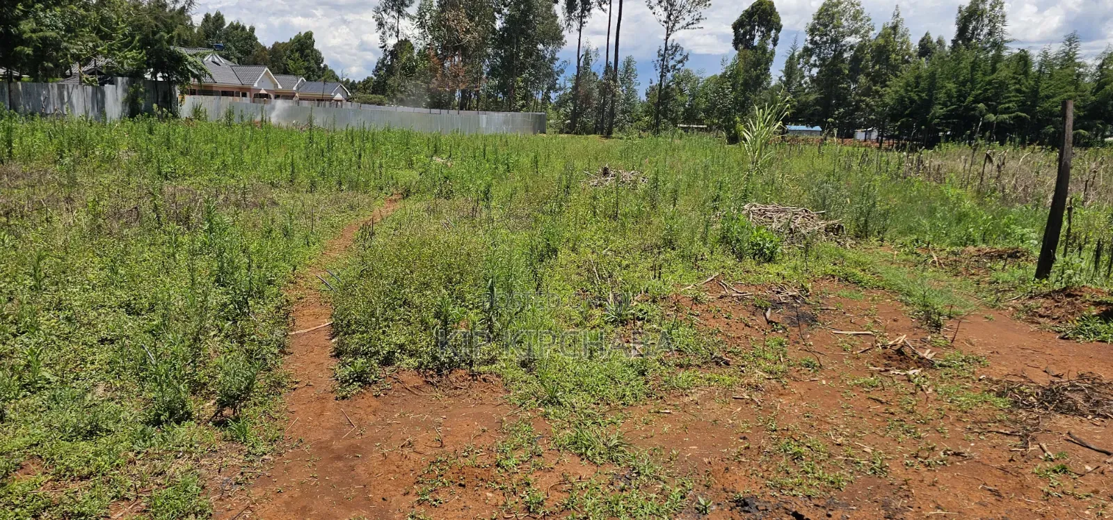 Prime Plots for Sale in Outspan Eldoret Behind Kwa Dc in Racecourse