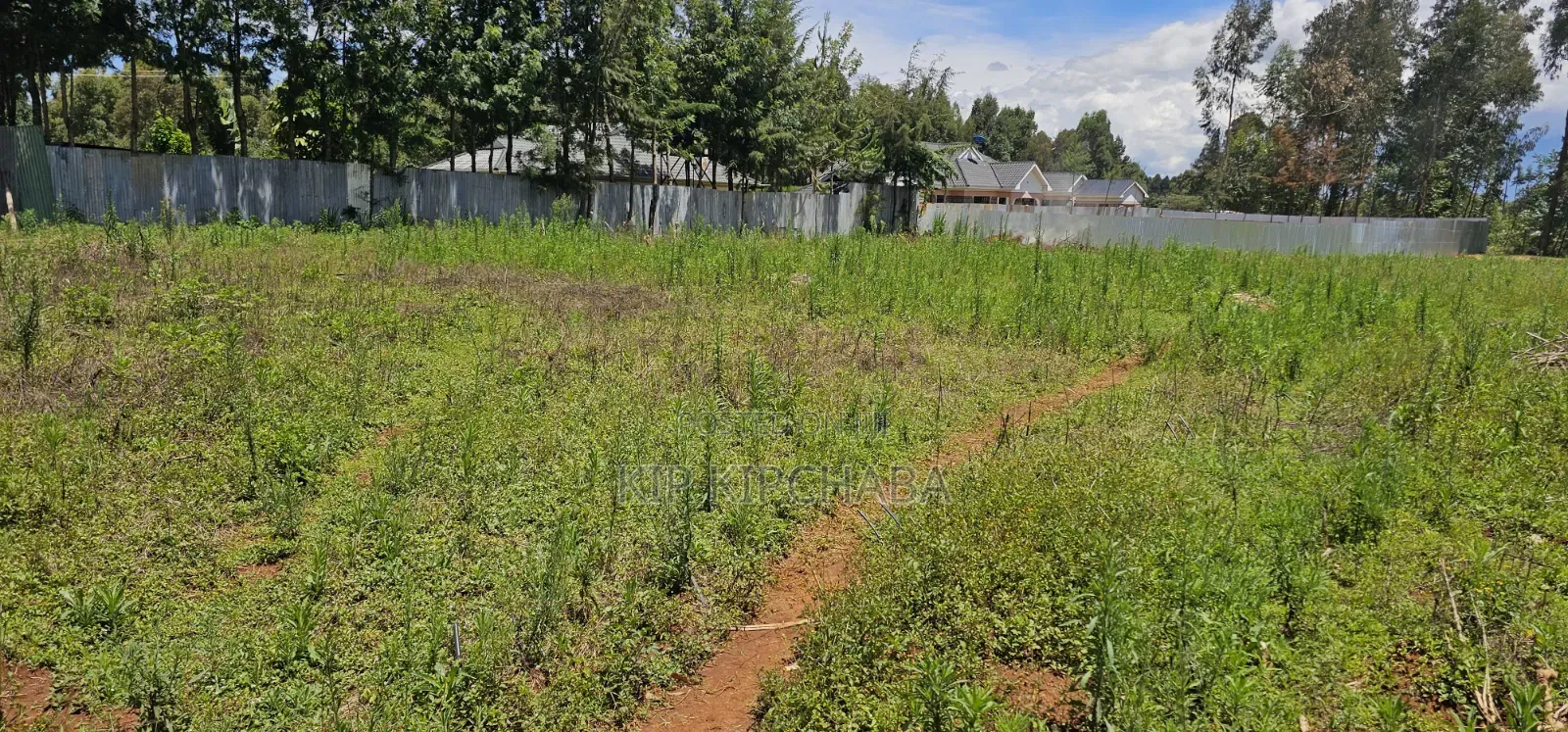 Prime Plots for Sale in Outspan Eldoret Behind Kwa Dc in Racecourse
