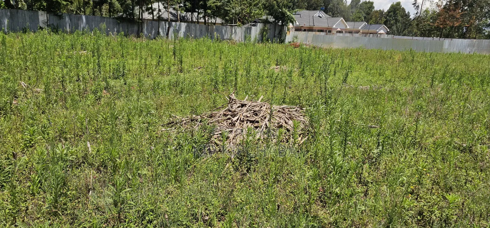 Prime Plots for Sale in Outspan Eldoret Behind Kwa Dc in Racecourse