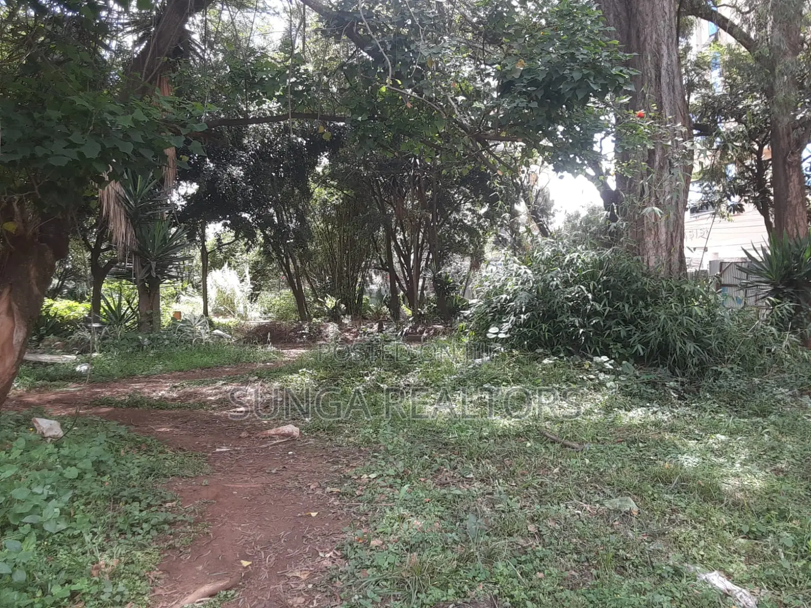 Commercial Property for Sale in Kilimani in Hurlingham