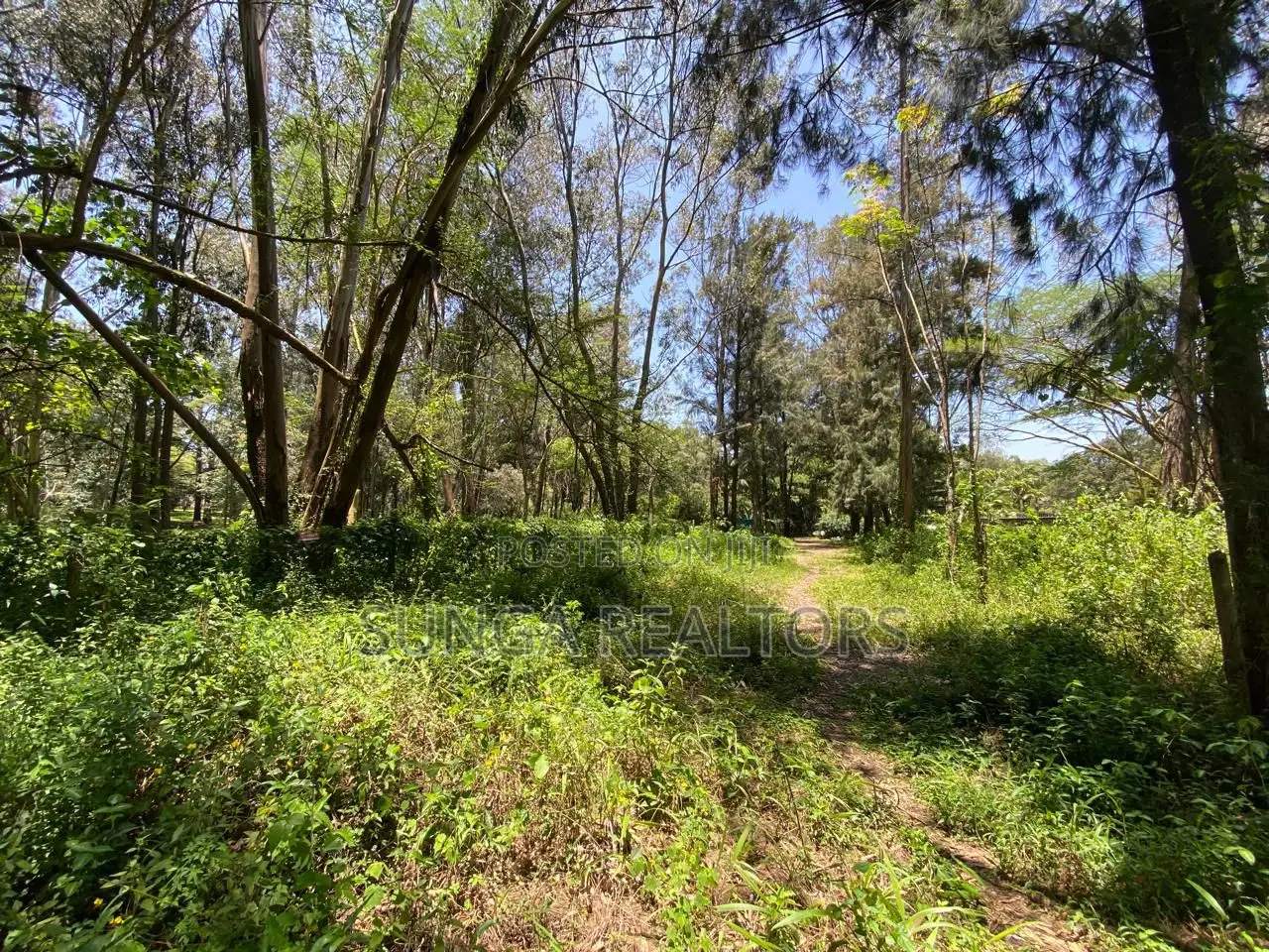 Plot for Sale in Lakeview Estate in Lakeview Estate