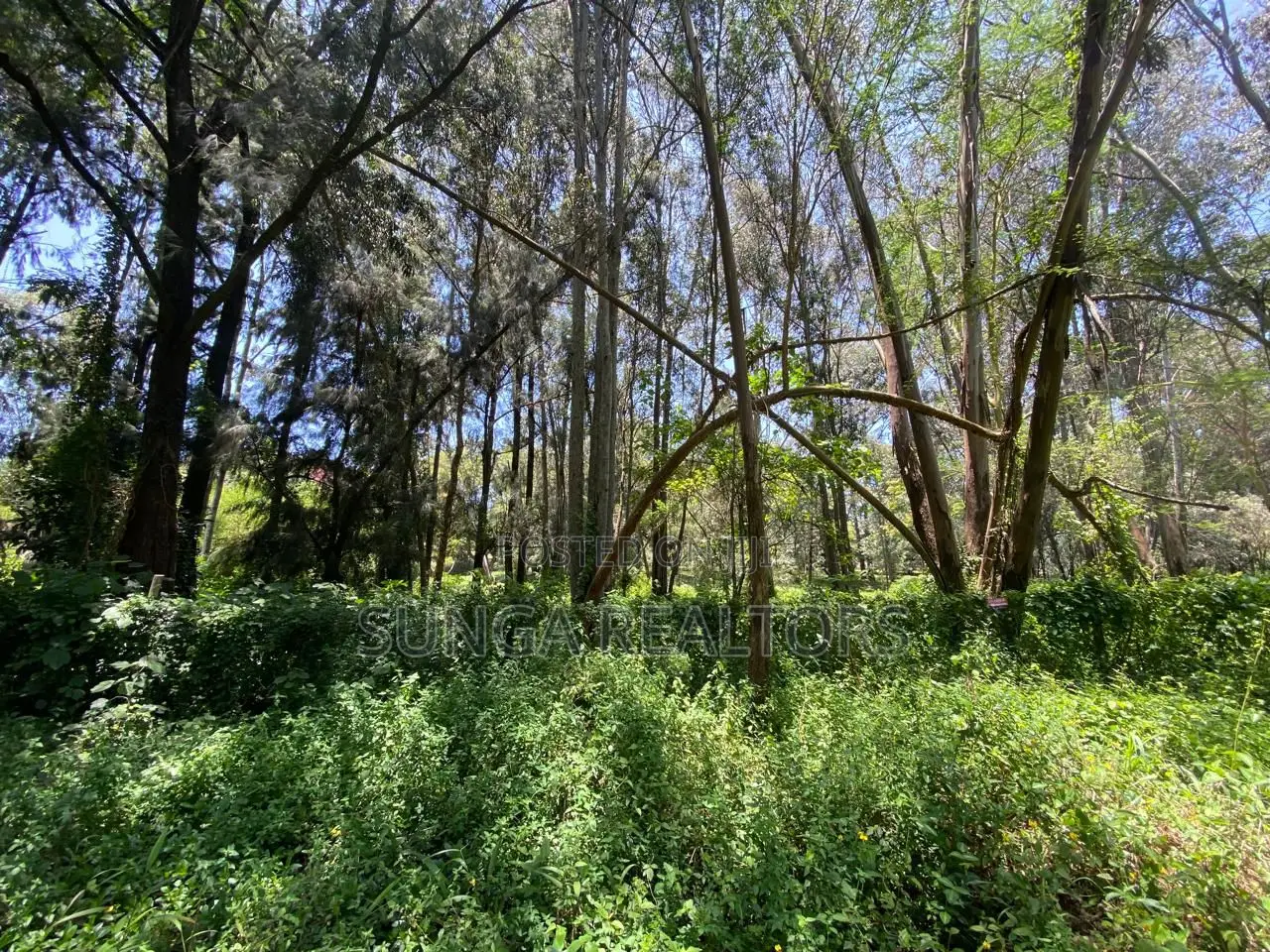 Plot for Sale in Lakeview Estate in Lakeview Estate
