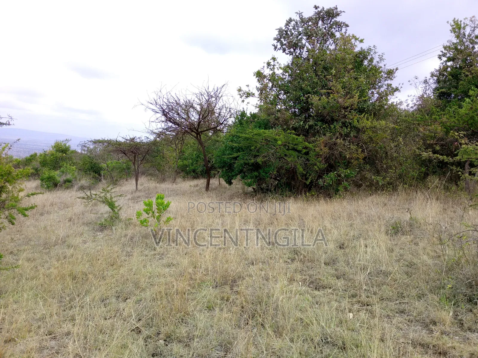 Mua Hills 5 Acres in Mua