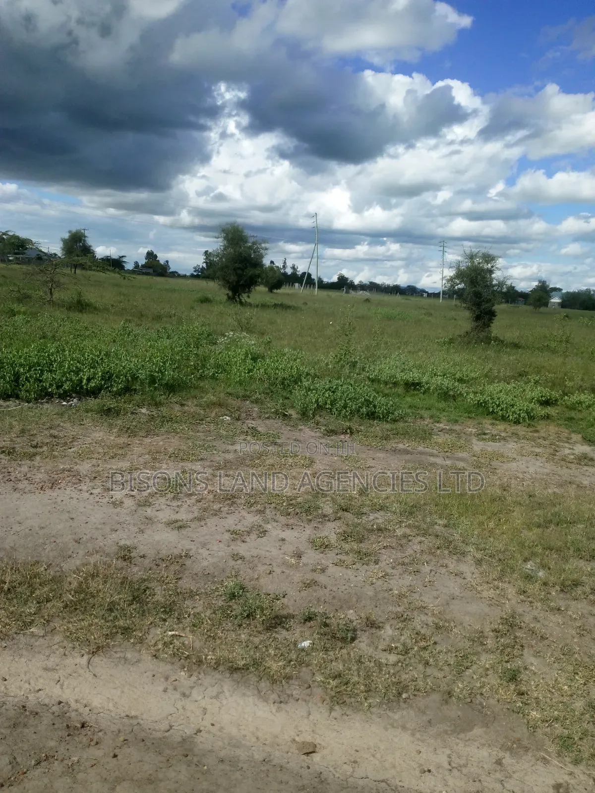 Available 100 Acres Land for Sale in Bisil