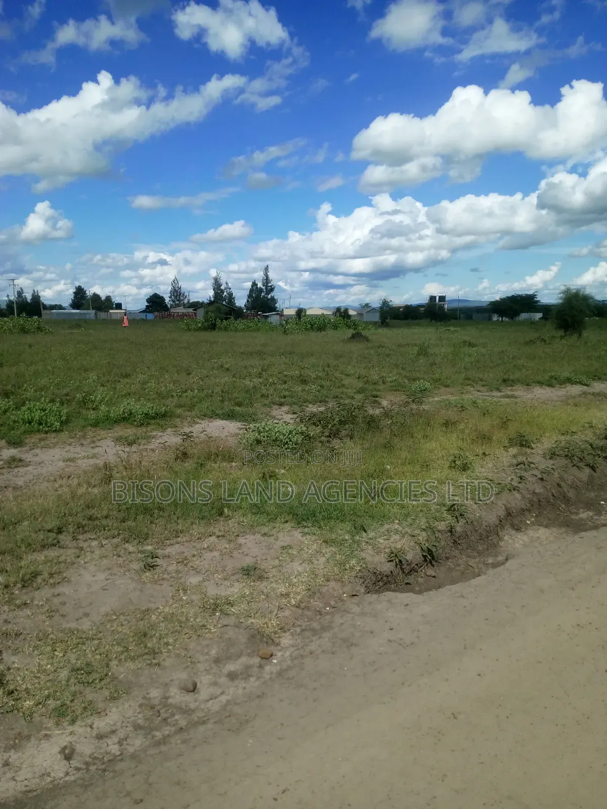 Available 100 Acres Land for Sale in Bisil