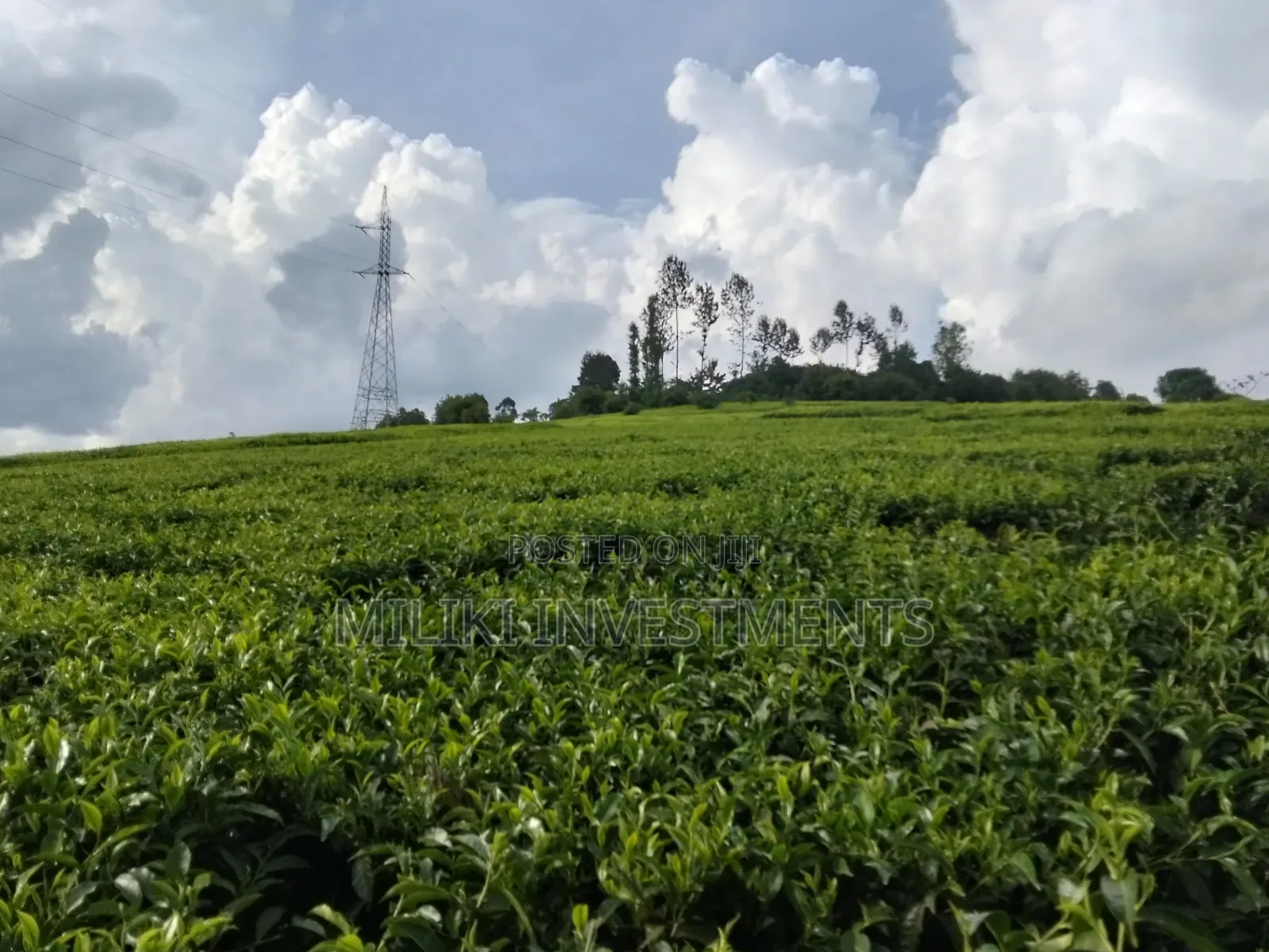3 Acres on Sale at Kangari-Gituru in Kangari