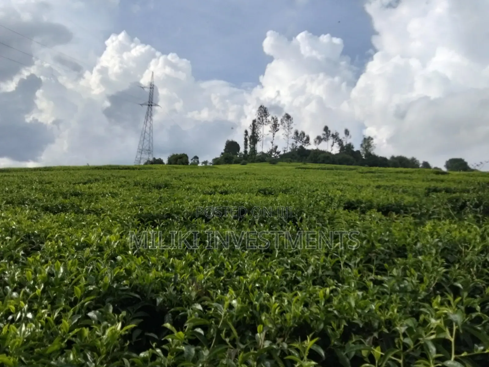 3 Acres on Sale at Kangari-Gituru in Kangari