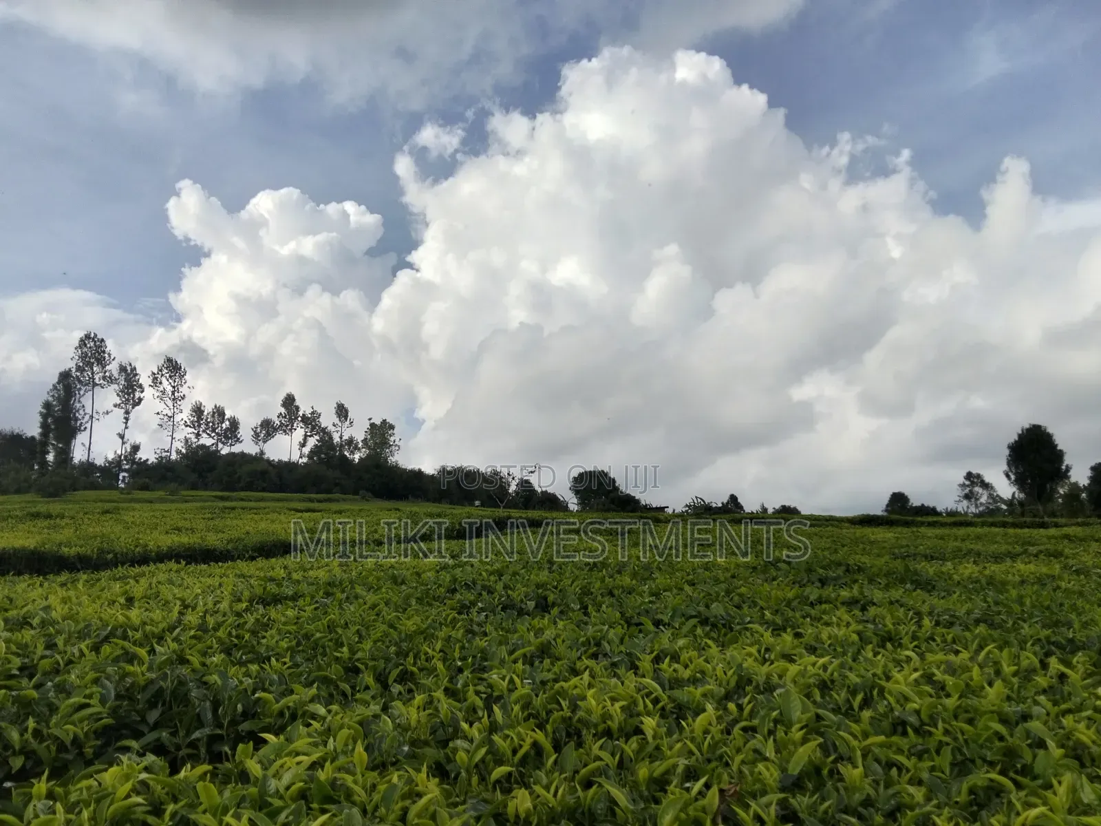 3 Acres on Sale at Kangari-Gituru in Kangari