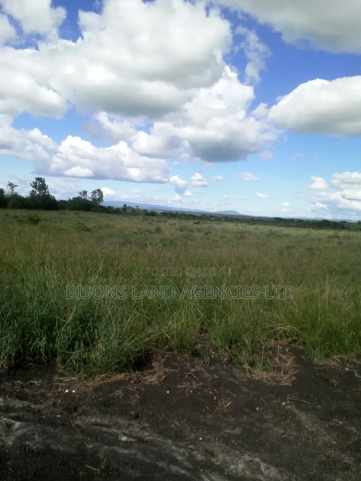 Available 1/4 Acre Plot for Sale in Kitengela