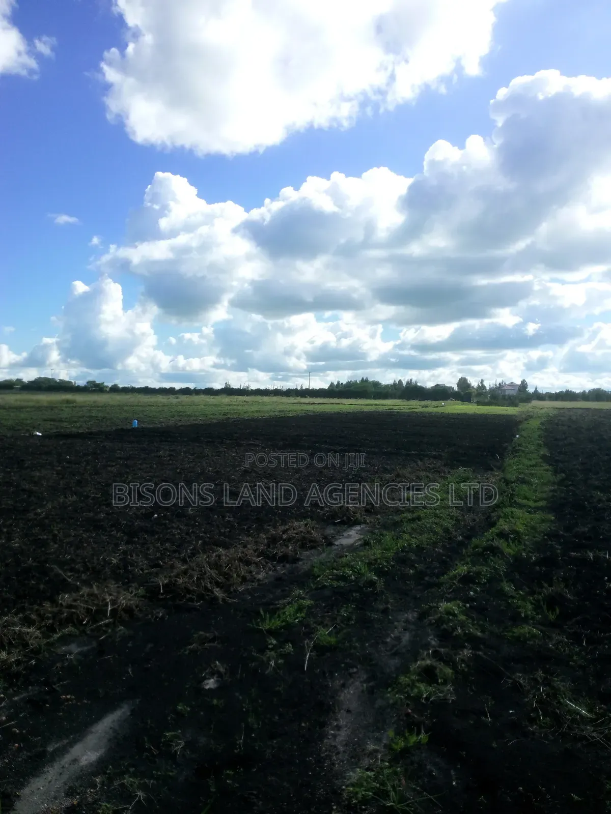 Available 1/4 Acre Plot for Sale in Kitengela