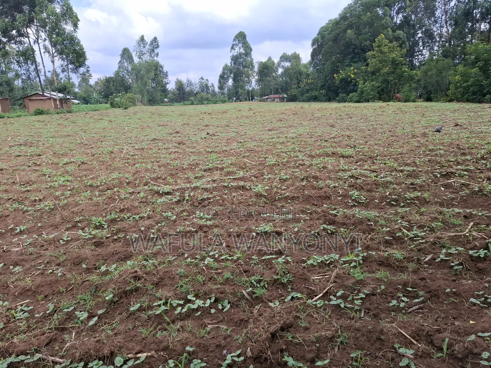 1 Acre Nambuchi Toward Nakhwana in Bumula