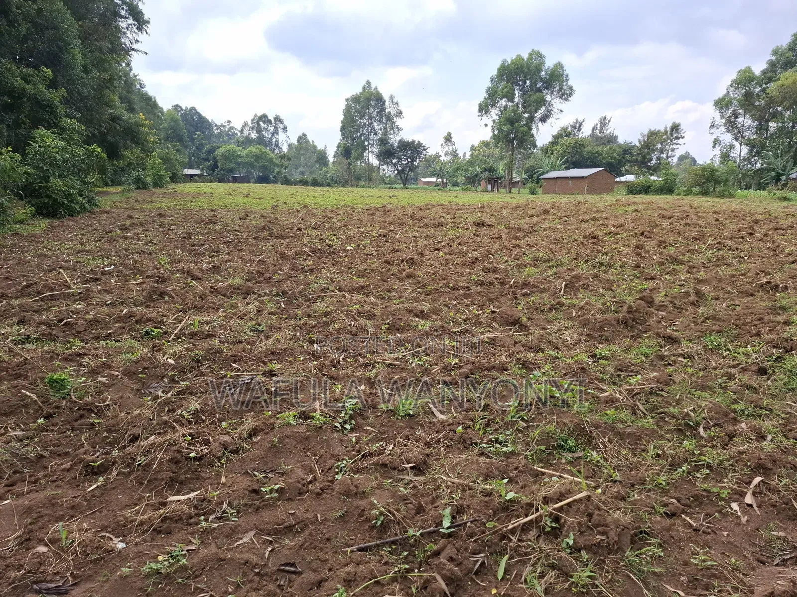 1 Acre Nambuchi Toward Nakhwana in Bumula