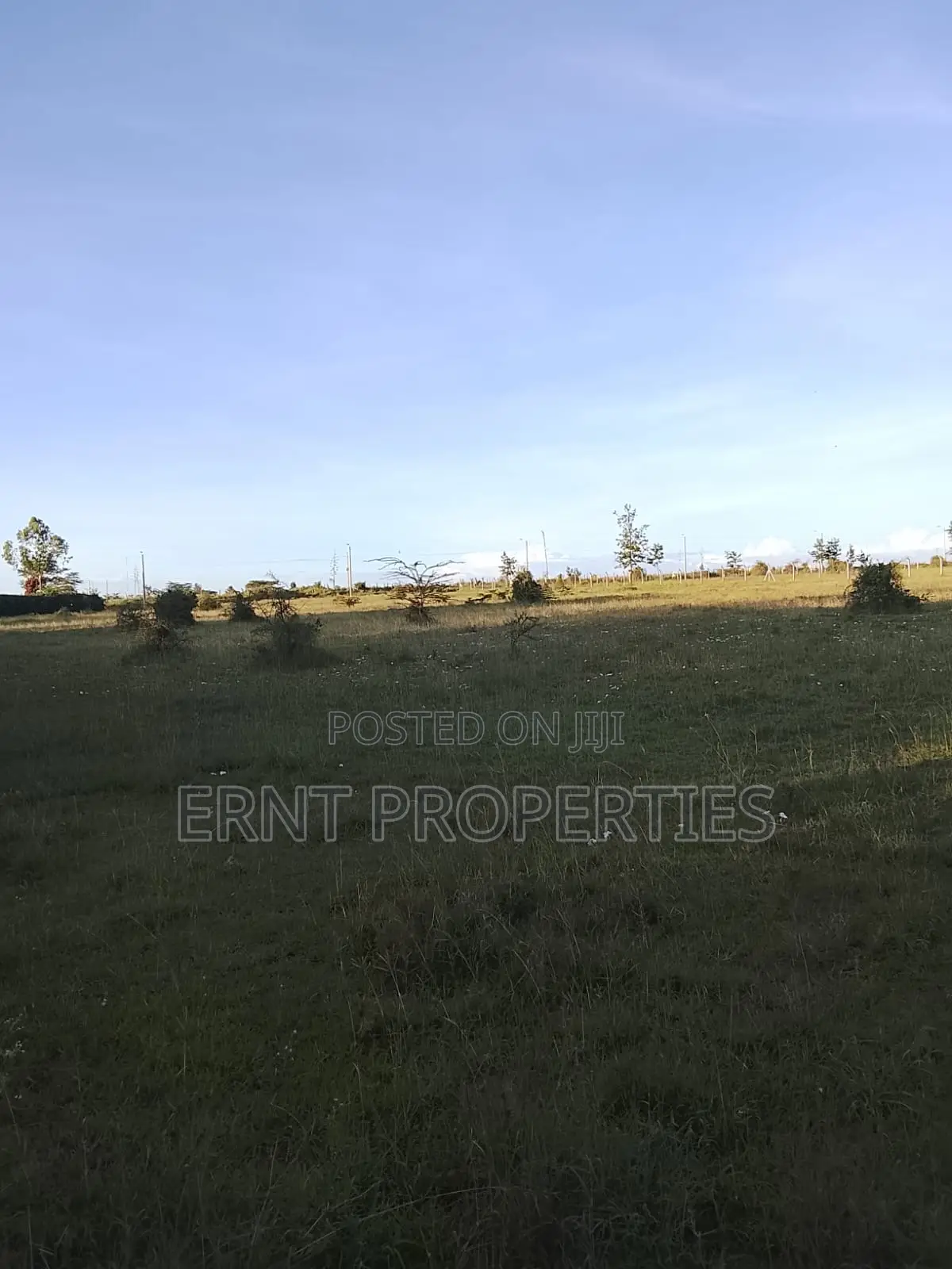 3 Acres in Milimani Kitengela Ideal for a High End Gated Estate in Kitengela