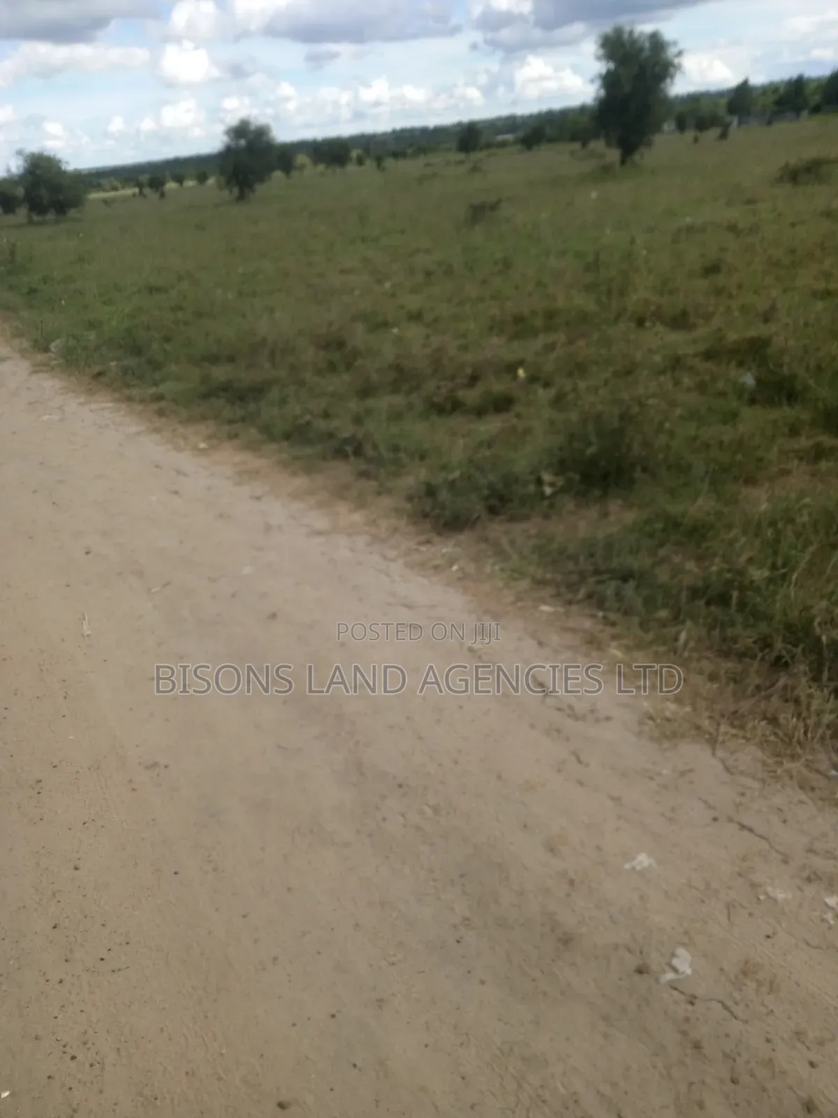 Available 1/4 Plot for Sale in South Kamagambo