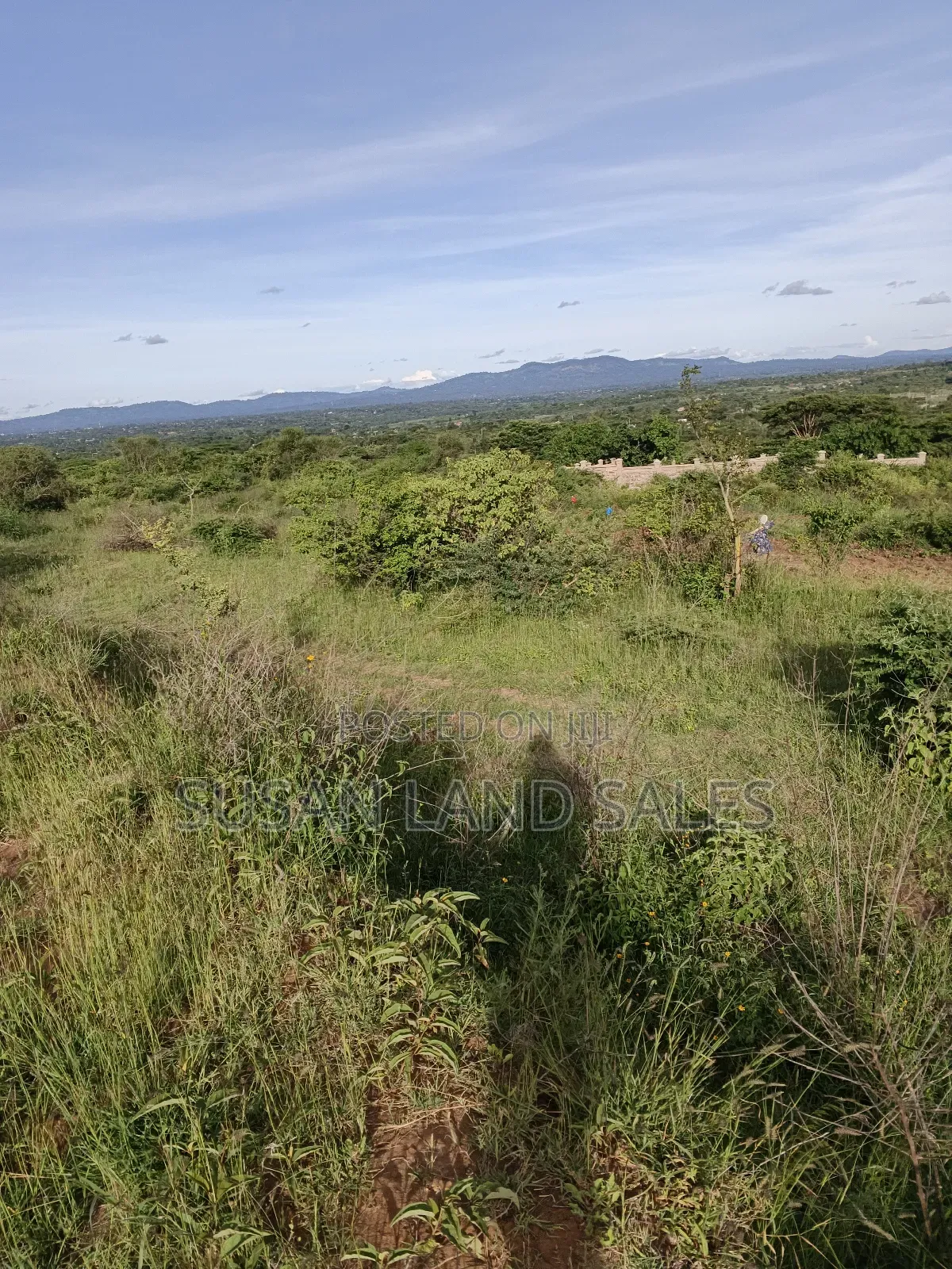 Oletepesi 99 Acres. 5kms Off Tarmac. 1.5m Per Acre in Kiserian