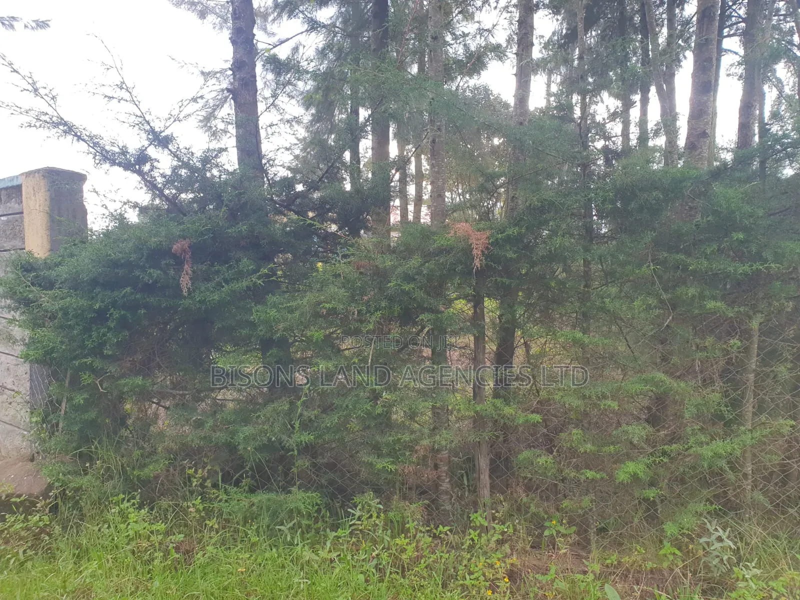 Available 2 Acre Land for Sale in Migori County in Wasweta II