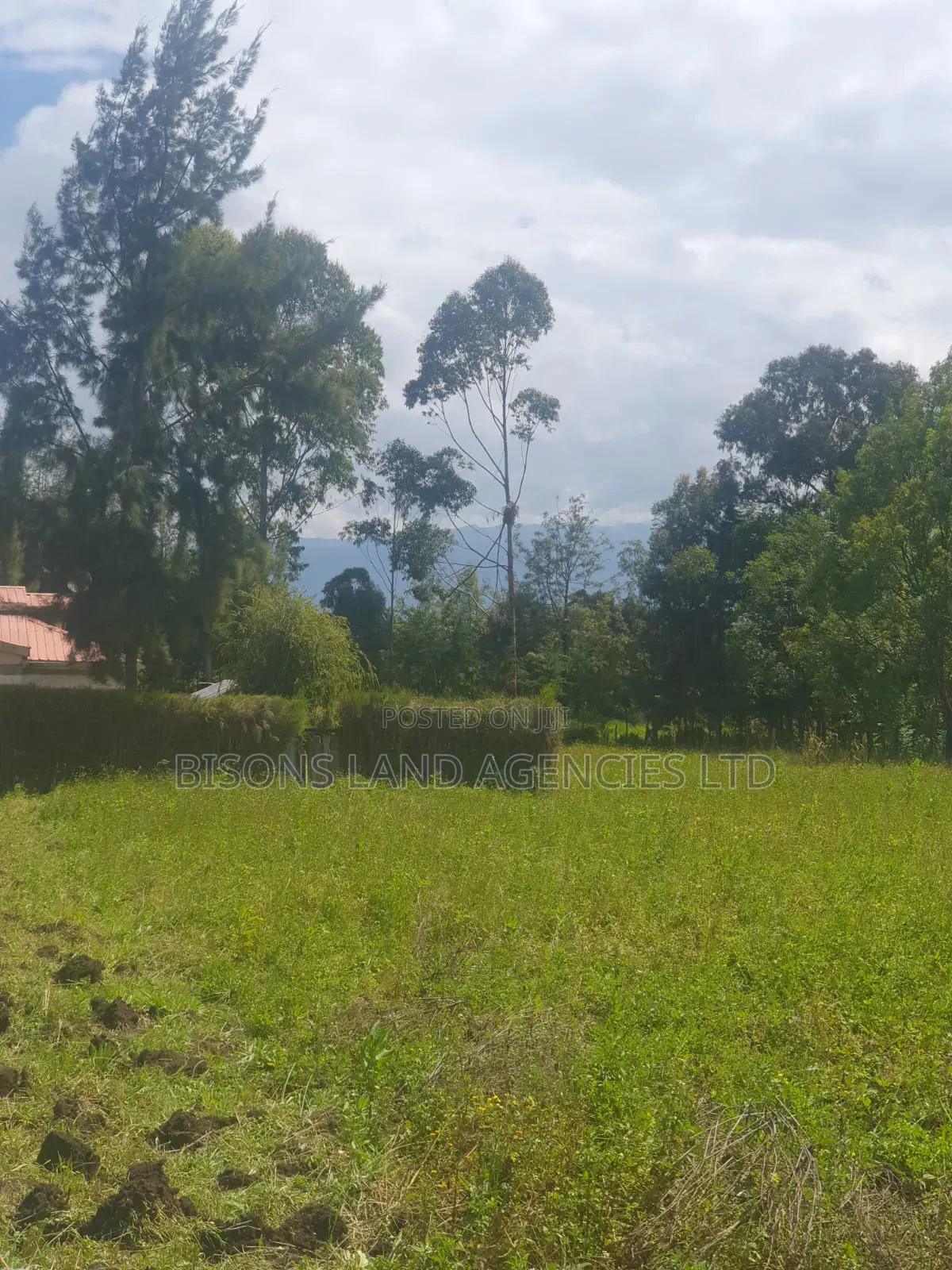Available 3/4 Plot for Sale in Migori County in Wasweta II