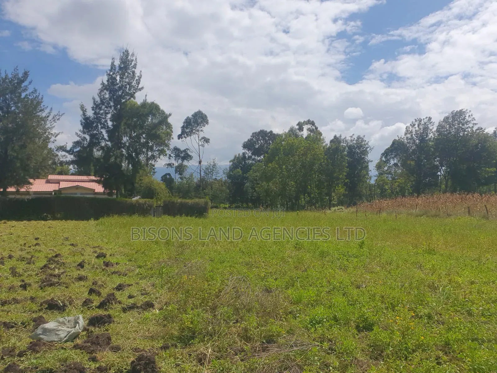 Available 3/4 Plot for Sale in Migori County in Wasweta II