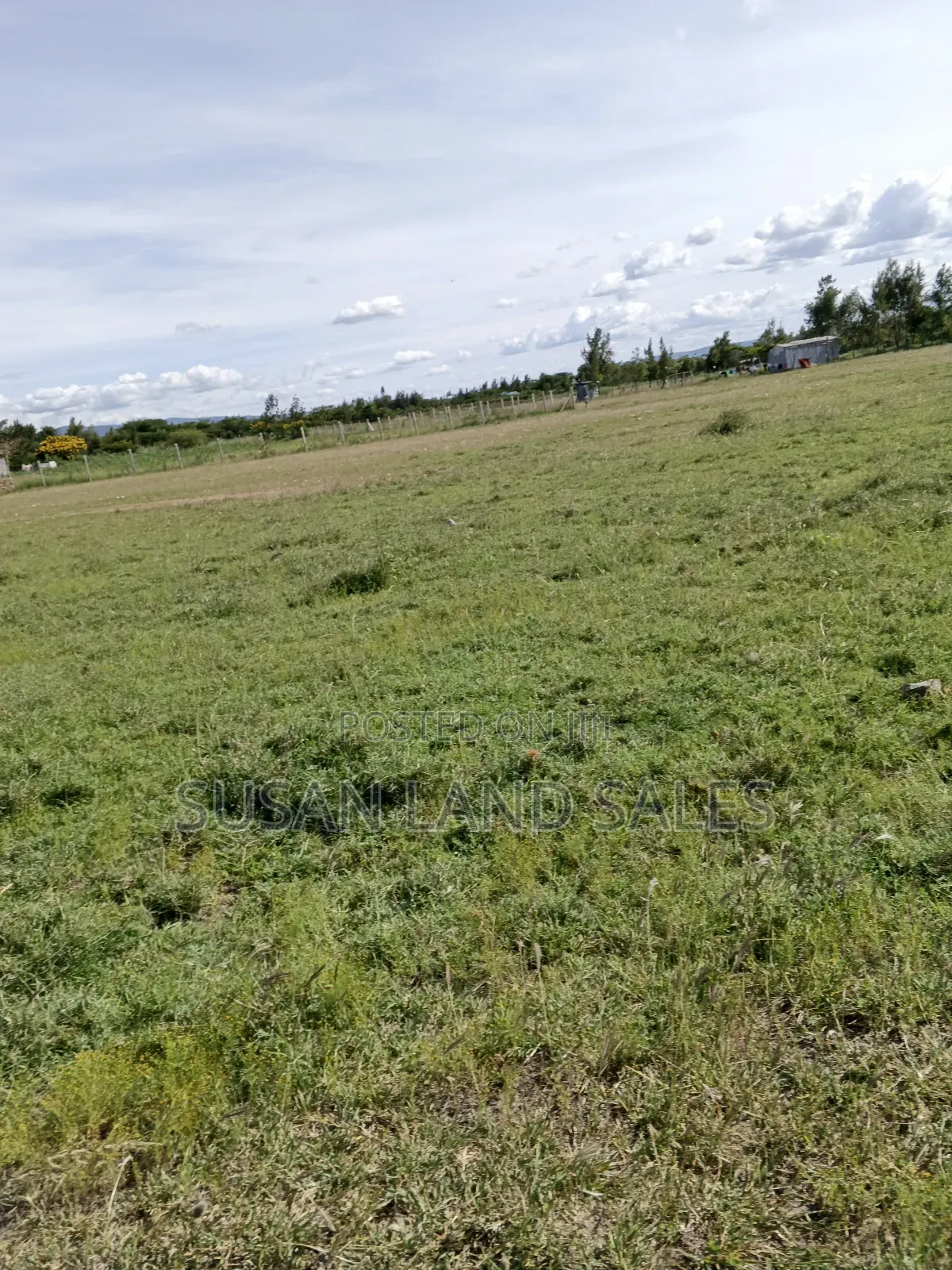 Daystar Area 3td Row Our 8 Plots 100*100 in DayStar Area