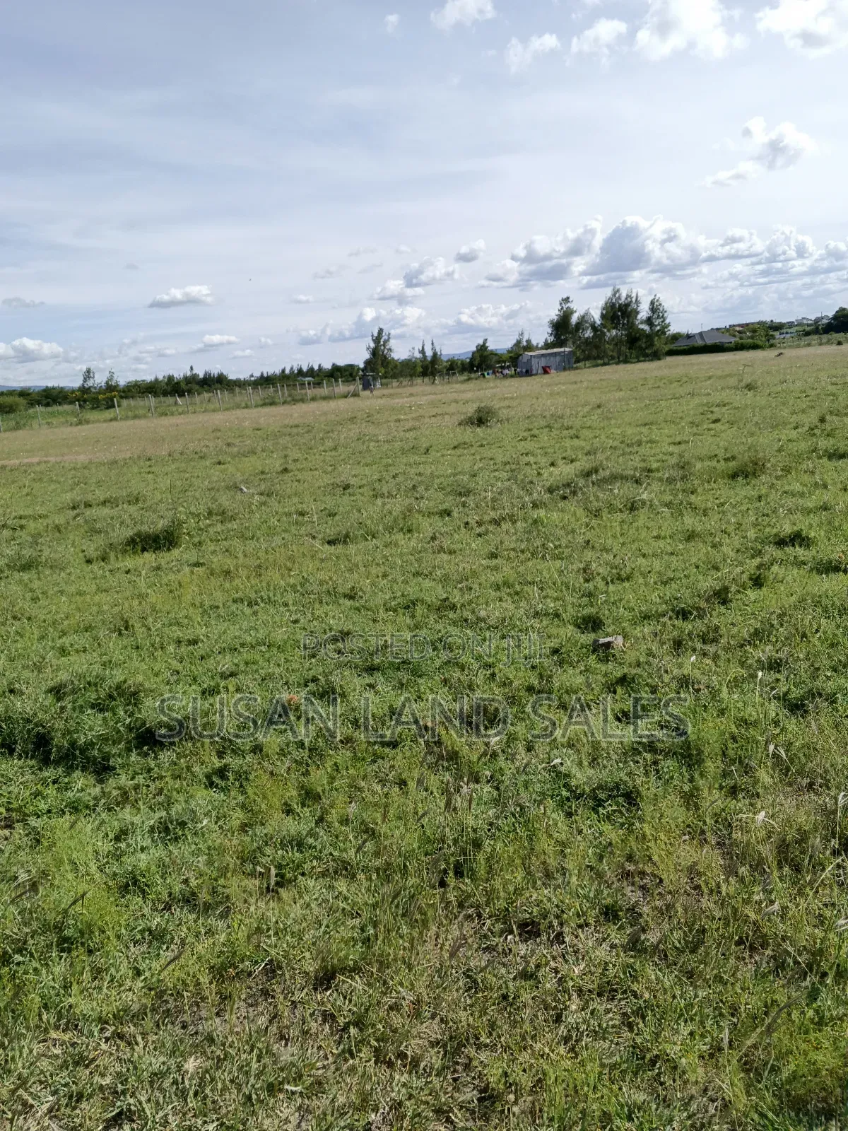 Daystar Area 3td Row Our 8 Plots 100*100 in DayStar Area