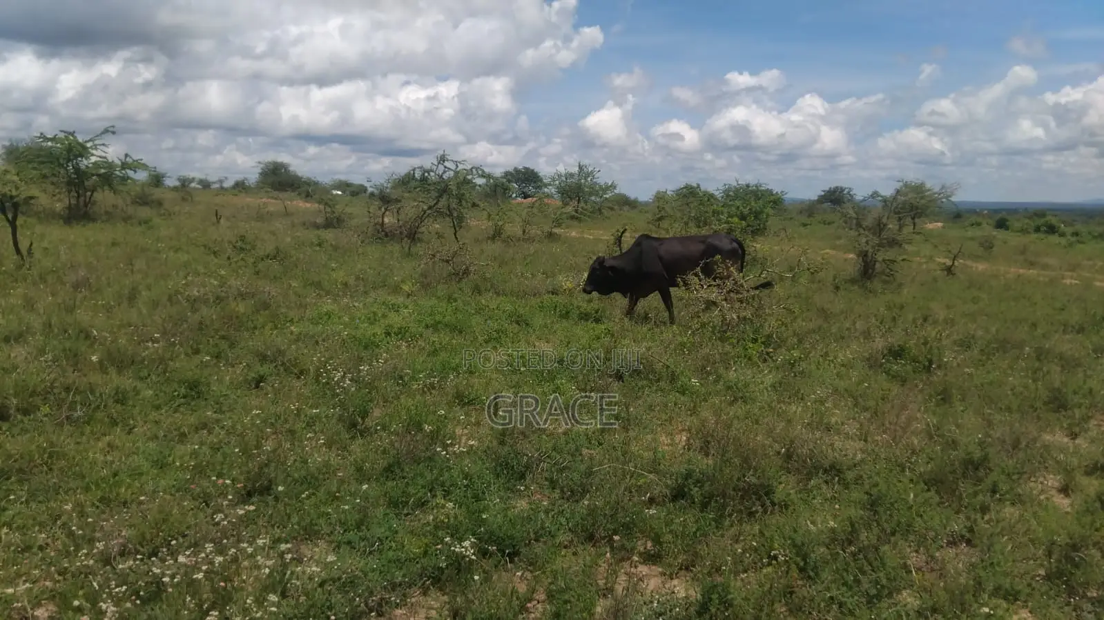 Konza Prime Plots Now Selling in Malili