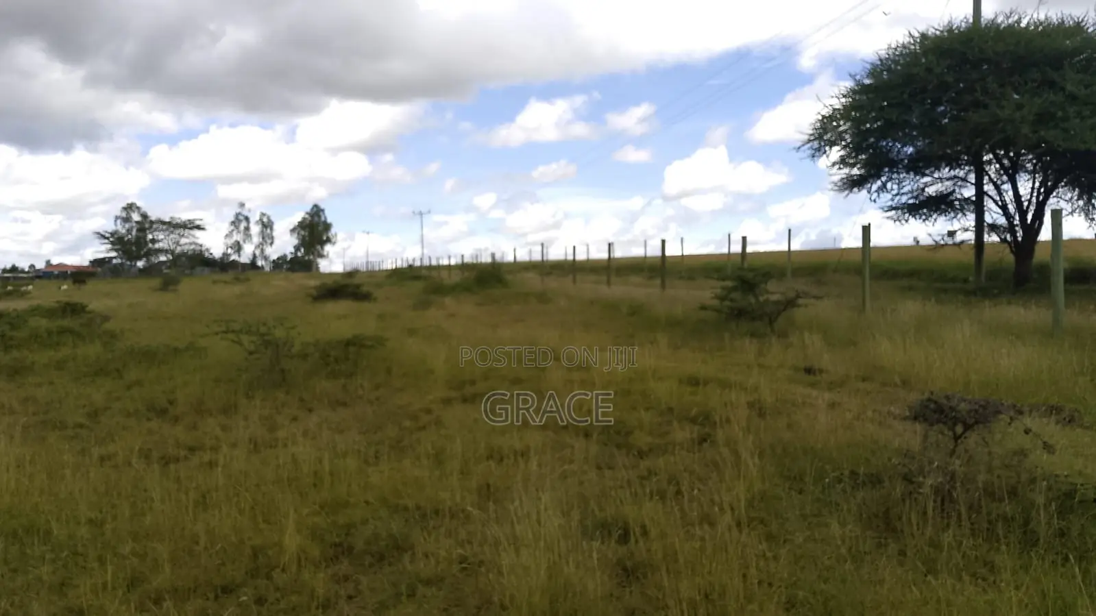 Isinya Highway Competitive Prime Plots in Isinya