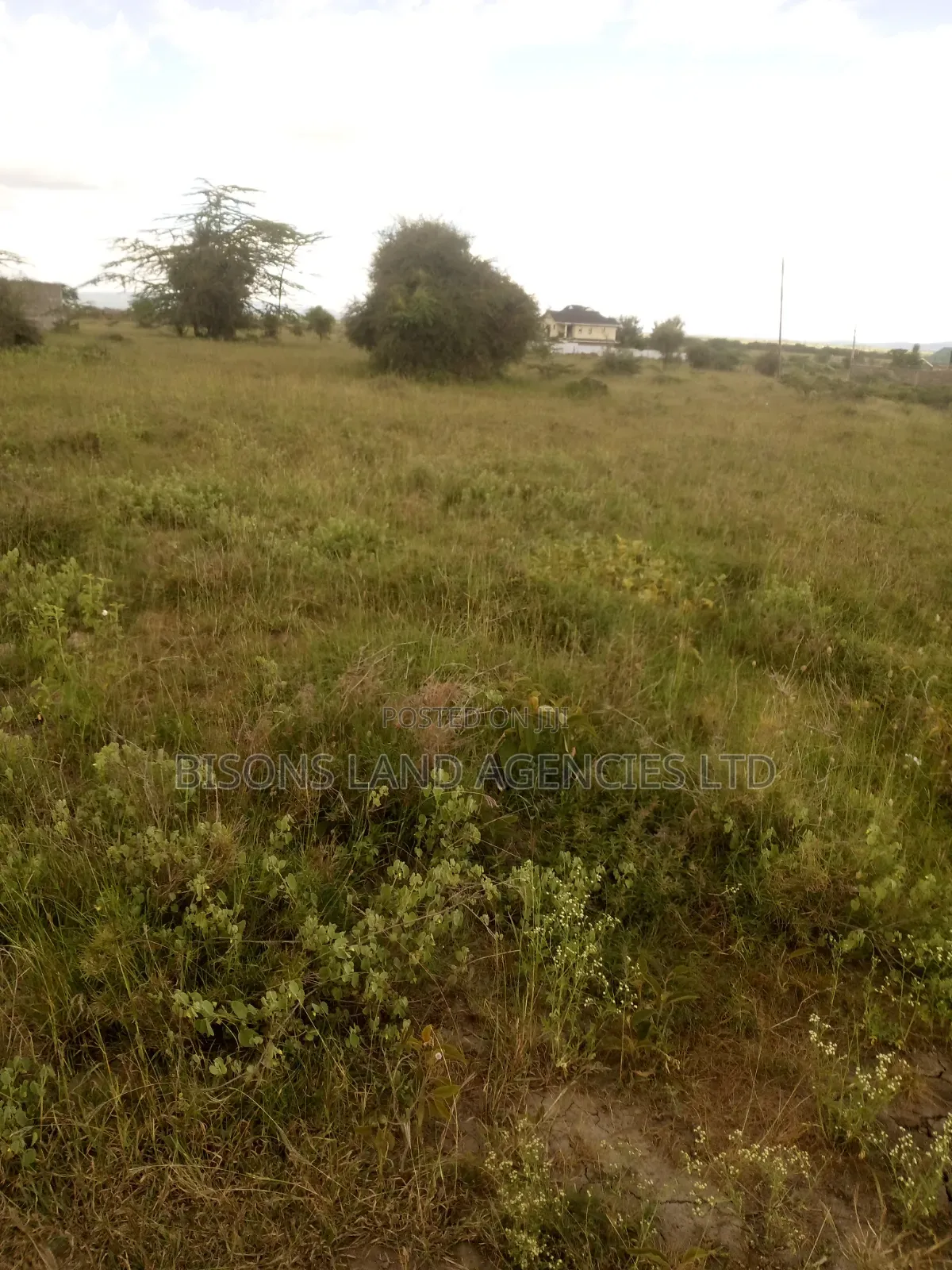 Available 1/4 Plot for Sale in Kitengela in Kitengela