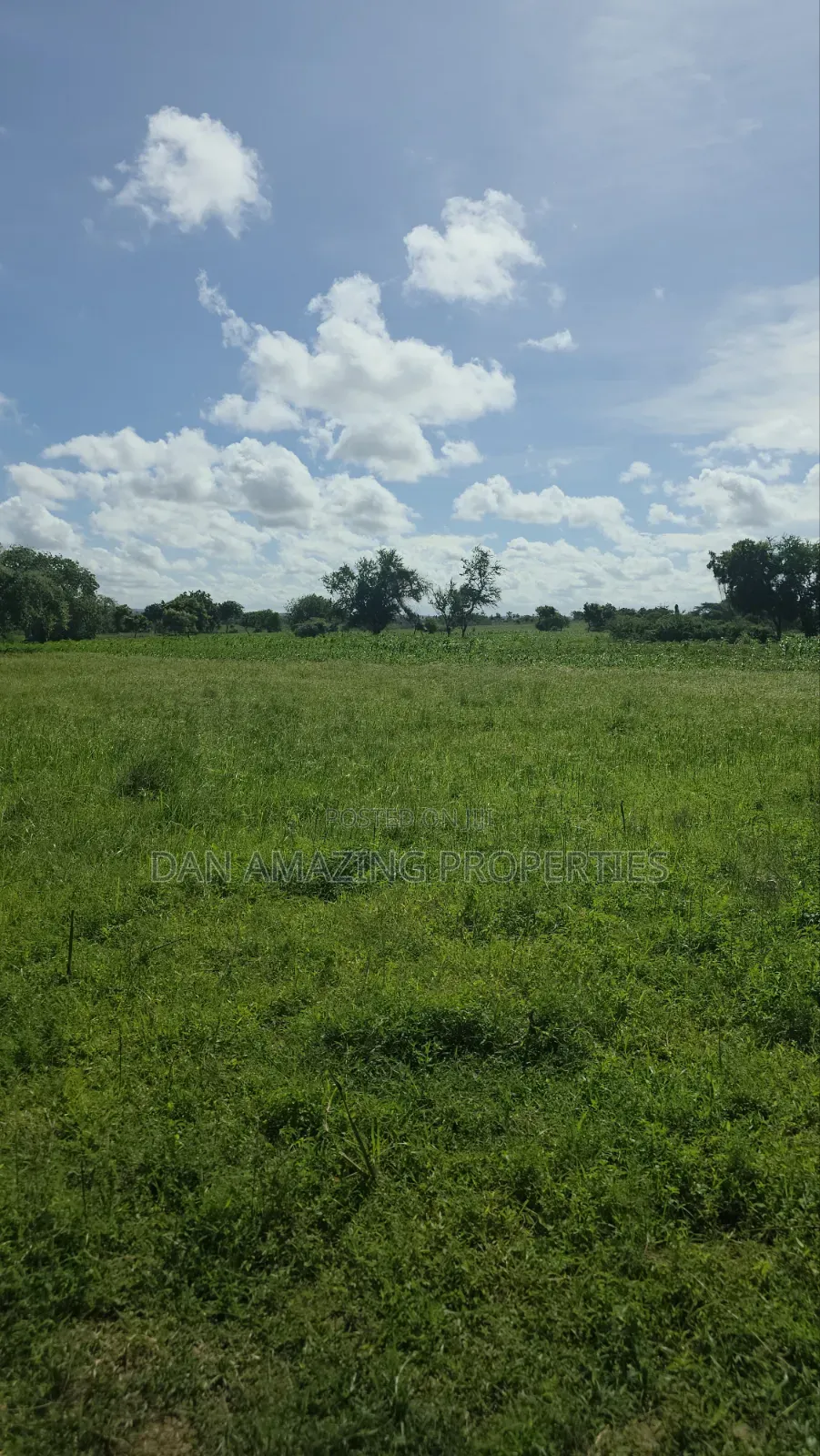 5 Acres in Kilifi Mandharini Rd for Sale as a Block in Kilifi Town
