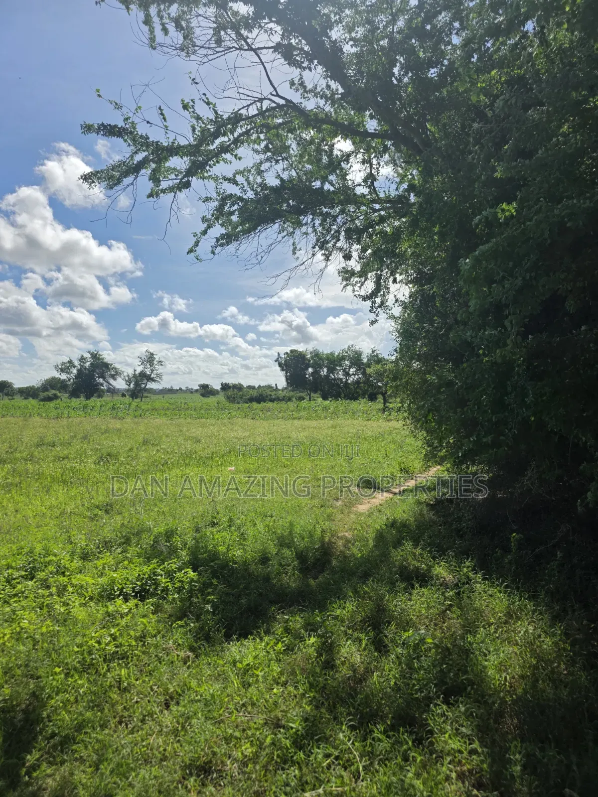 5 Acres in Kilifi Mandharini Rd for Sale as a Block in Kilifi Town