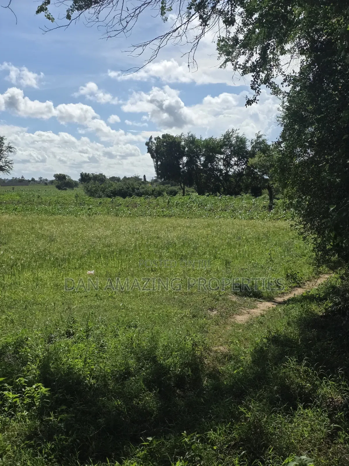 5 Acres in Kilifi Mandharini Rd for Sale as a Block in Kilifi Town