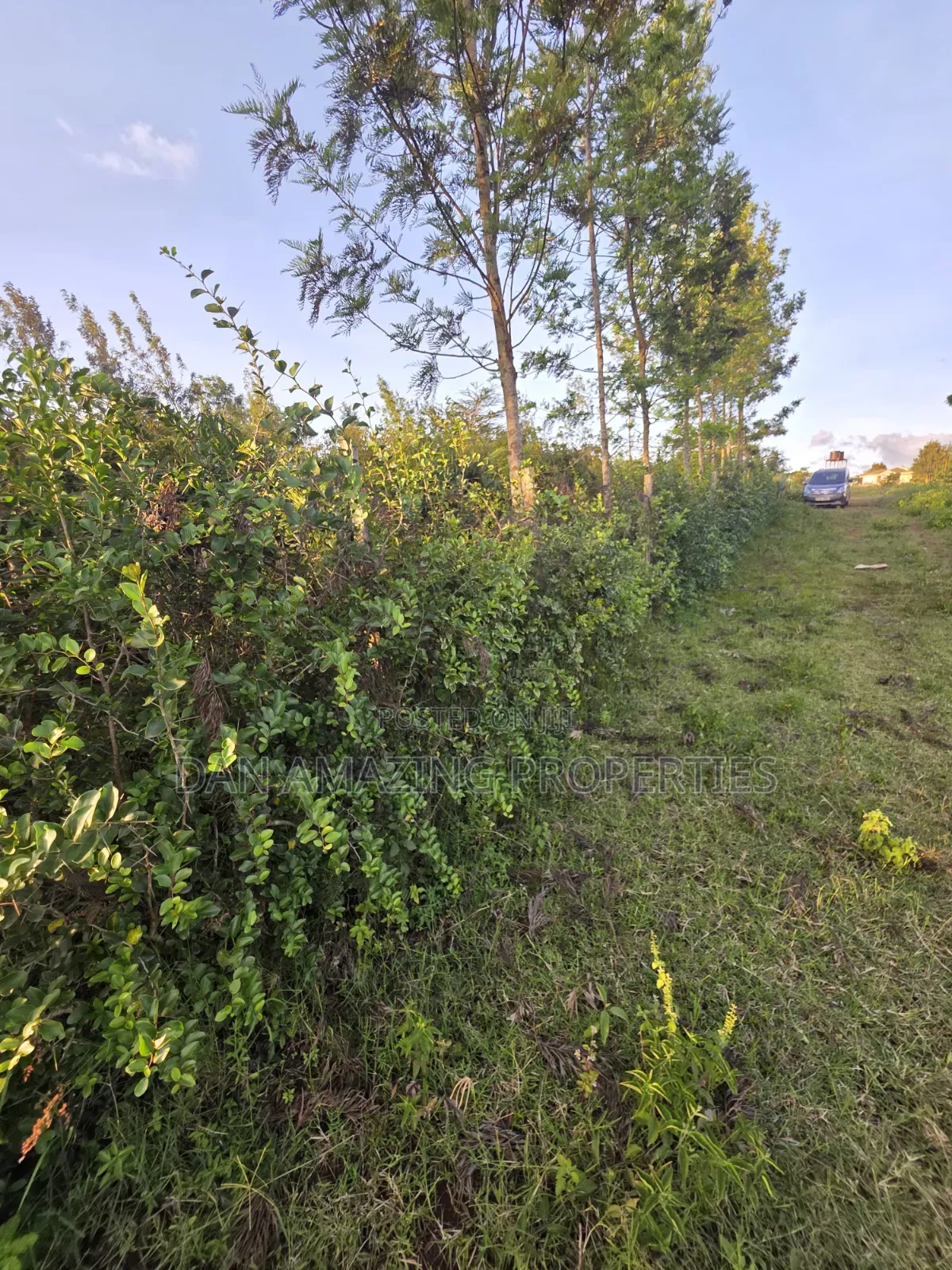 1/4 Acre Redsoil Ngong Kibiku With Mature Fruit Trees for Sale I in Kibiku