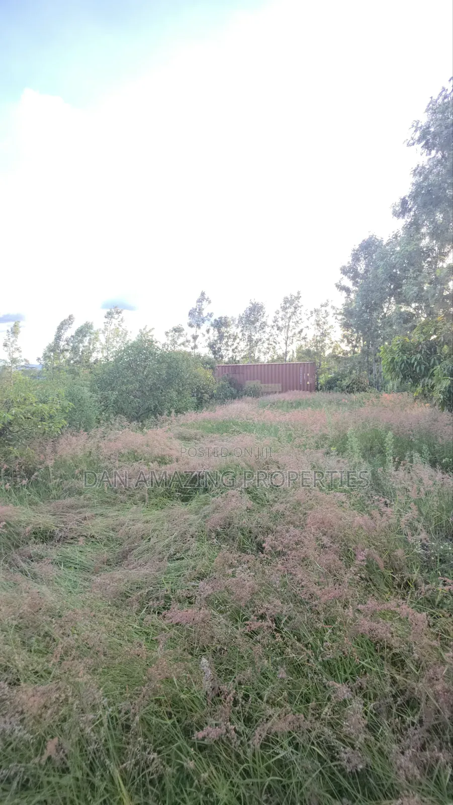 50by100 Redsoil Plot in Ngong Kibiku for Sale With Mature Fruit Trees in Kibiku
