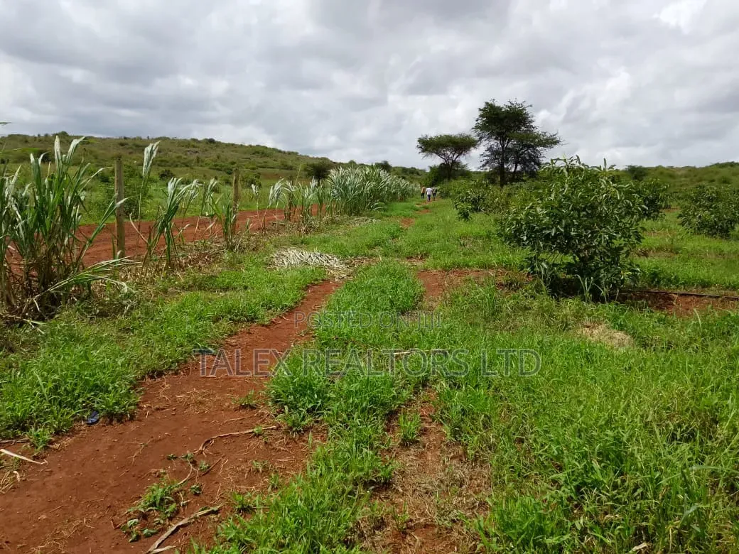 400-Acre Avocado Farm-river-mt.Kilimanjaro, Loitoktok | Freehold Title in Loitoktok