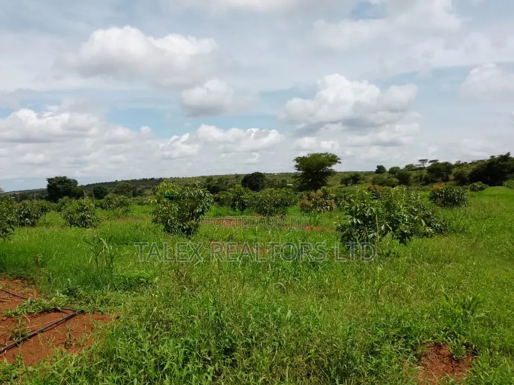 400-Acre Avocado Farm-river-mt.Kilimanjaro, Loitoktok | Freehold Title in Loitoktok
