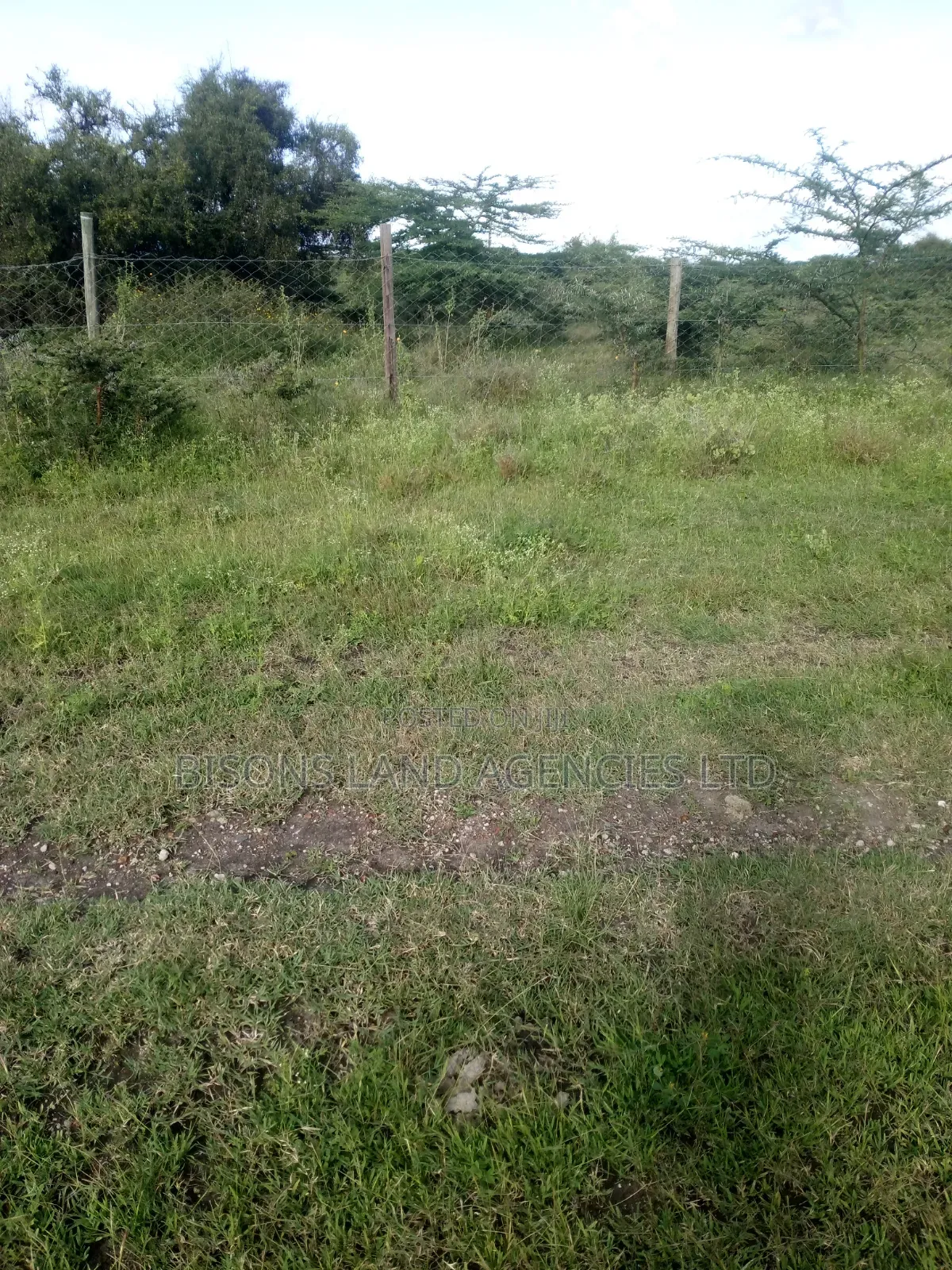 Available 80×80ft. Plot for Sale in Kitengela Kajiado County in Kitengela
